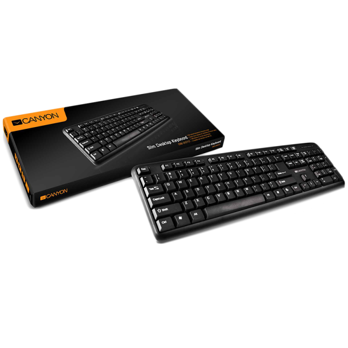 Клавиатура Canyon CNE-CKEY01-BG USB standard 